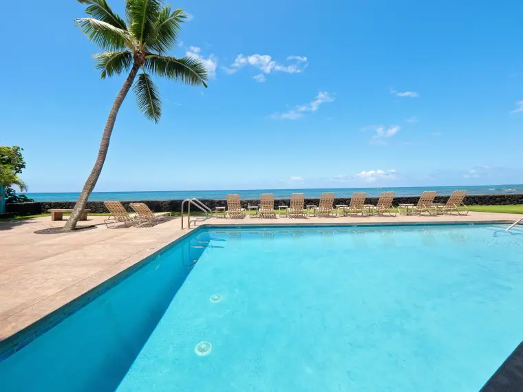 Oceanfront pool with palm tree and lounge chairs